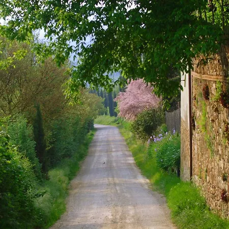 Iris * Poggibonsi