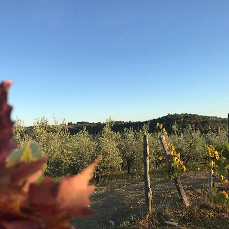 Iris Appartamento