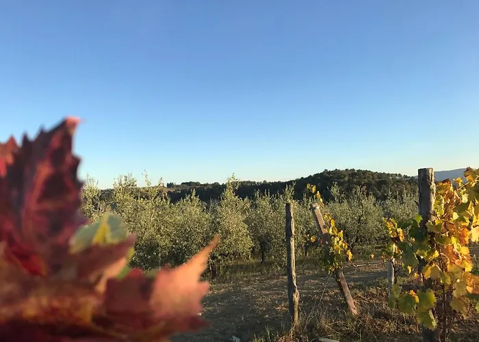 Iris Διαμέρισμα